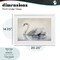 Stupell Industries Elegant Floating Swan Framed Print Under Glass, design by Sasha